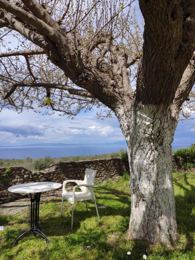 Μαγεμένος Πύργος Στις Θαλάμες Διαμέρισμα Koumani Εξωτερικό φωτογραφία